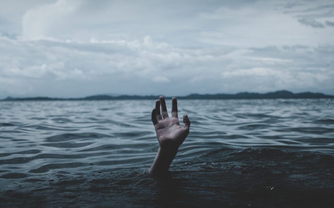 A Response to the Midterms and Fear