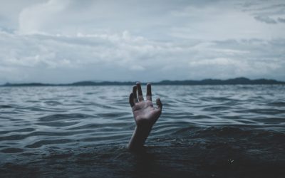 A Response to the Midterms and Fear