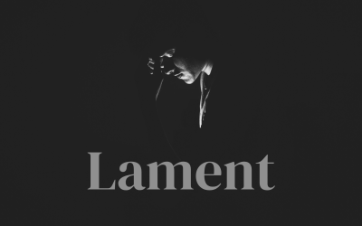 Challenging Congressional Legislation and the Importance of Lament