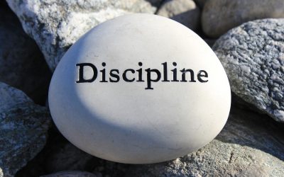 Contrasting Interpretations of Discipline