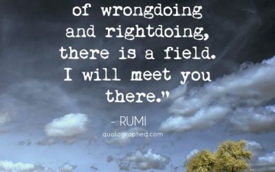 Election Reflections and Wisdom and Solace from Rumi