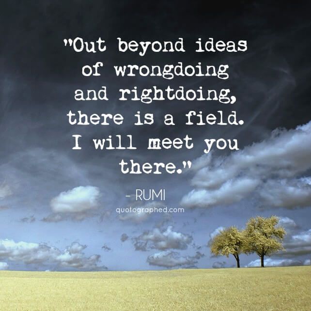 Election Reflections and Wisdom and Solace from Rumi